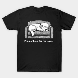 Napping Dog T-Shirt
